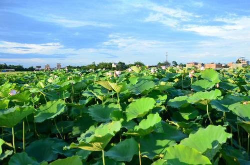 碧色的水， 碧色的心