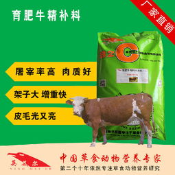 牛吃什么饲料最有利于快速生长和最佳营养吸收？