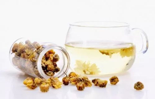 菊花能减肥吗？老中医揭秘