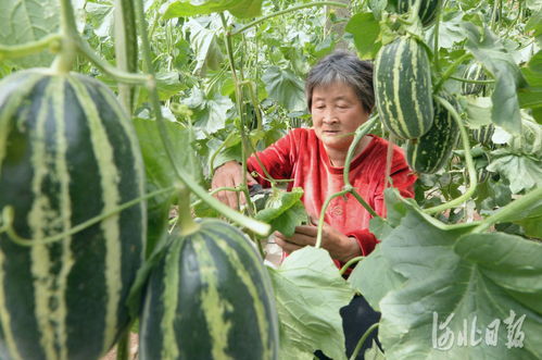 合作方式，快来加入