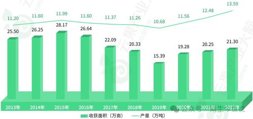 秘鲁牛油果欲进一步打开中国市场，寻求扩大市场份额