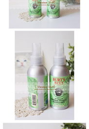 茄子病害防治小知识