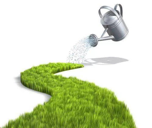 浇水频率：季节不同，浇水量也不同