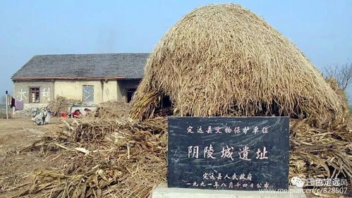 棚架处理和基质配方