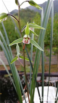 温度，春天的脚步