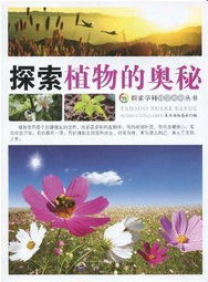 探寻蕨类与苔藓的静谧之美