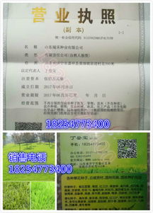 基质配比大公开