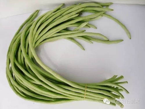 抖音分享， 生活小技巧