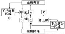 其他作用：
