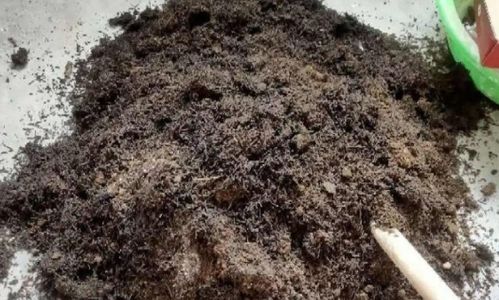 养花交流台，分享调酸经验