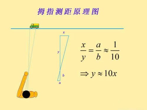 地域差异对间距的影响