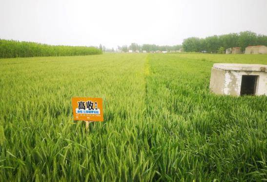 70吡虫啉的用量计算