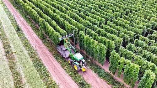 创新节能养殖技术，降低农业养殖成本