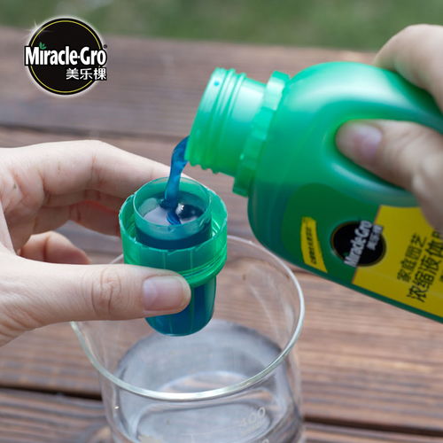 养盆景的肥料与营养液选择