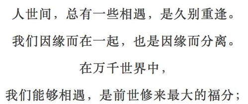 《相逢恨晚》——遇见久别的花，绽放你的春日记忆