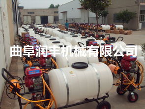 物流快，商家服务优，售后完美！