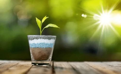 植物生长的加速器