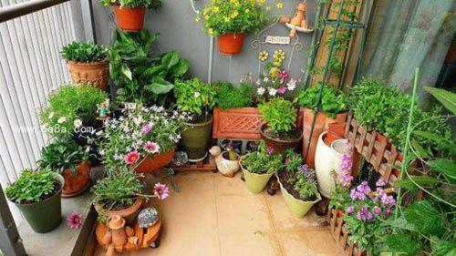 消毒细节， 不可忽视