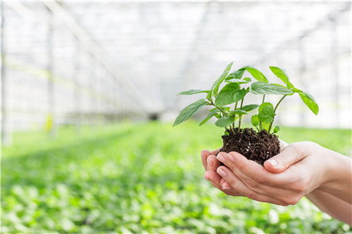 1. 网络的力量， 绿化的未来