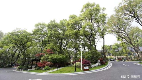 五、 园林绿化工程的种类