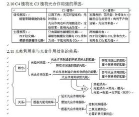 第八届生物饲料高中生物知识点中，有哪些关于光合作用的具体细节？