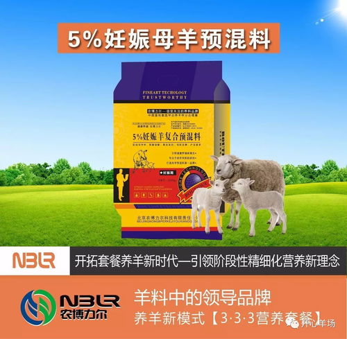 羔羊缺奶，营养不足