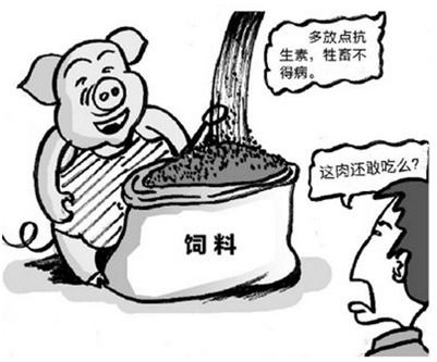 猪饲料中添加抗菌素对动物健康和肉质有影响吗？