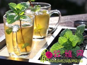 薄荷叶泡水喝，能减肥吗