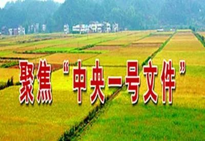 猫爪藤全株可药用，农业种植潜力大