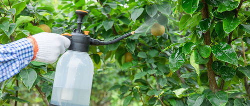 对环境的潜在影响