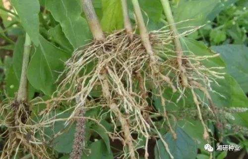 深度和孔径， 讲究搭配