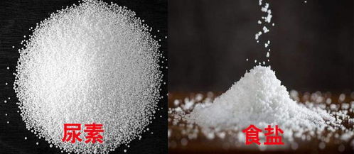 尿素， 那可是个好东西