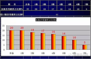 限位栏养殖淘汰率高，模式是否需要反思