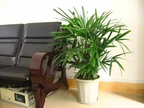 物理助攻，通风除醛两不误