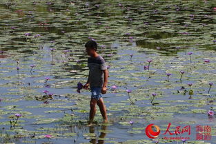 栽植方法， 学问多