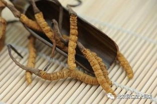 断草和冬虫夏草有什么显著区别，如何准确区分这两种药材