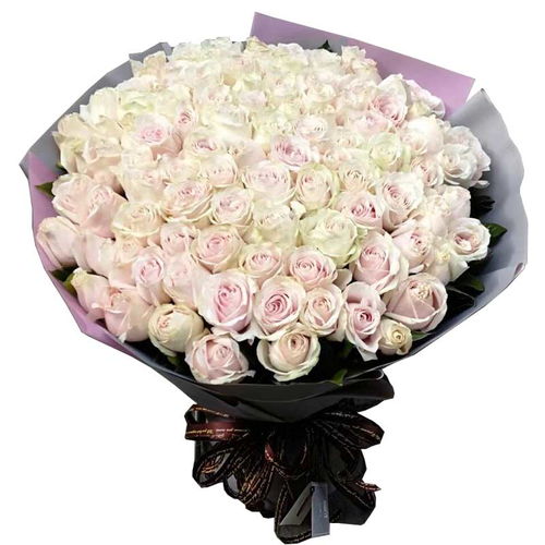 雪山中的粉红玫瑰：一种特殊的存在