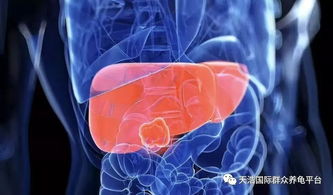 实验告诉你真相