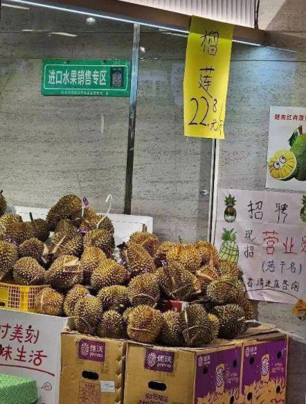 揭秘德化茶油价格波动，一斤多少钱？