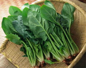 一、菠菜