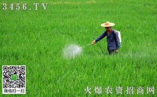 农药残留期：时间的隐形敌人