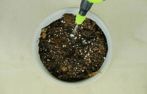 光照， 得像太阳一样灿烂