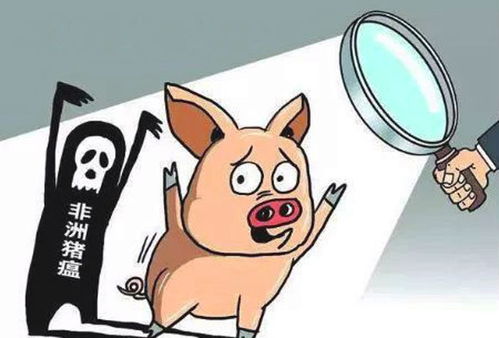 母猪确诊猪瘟，仔猪隔离后仍发病，如何有效控制疫情？