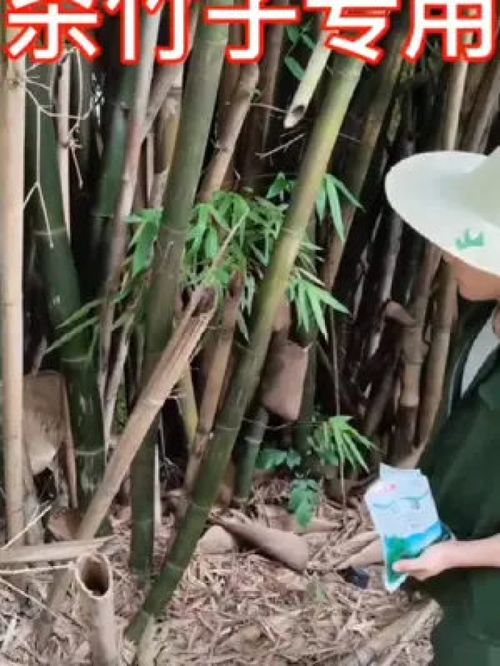 如何除野杂竹木？