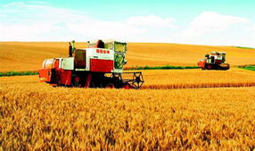 穷则创新，变则兴农