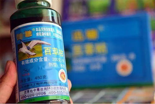 效果如何：众说纷纭