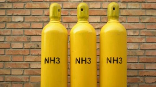 猪舍氨气危害大，降氨浓度保健康