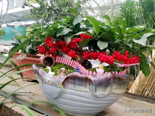 如何避免花卉对人体造成伤害