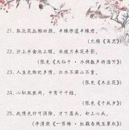 以玫瑰代表爱情，那么长尾词可以是