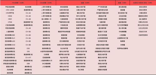 槟榔（T